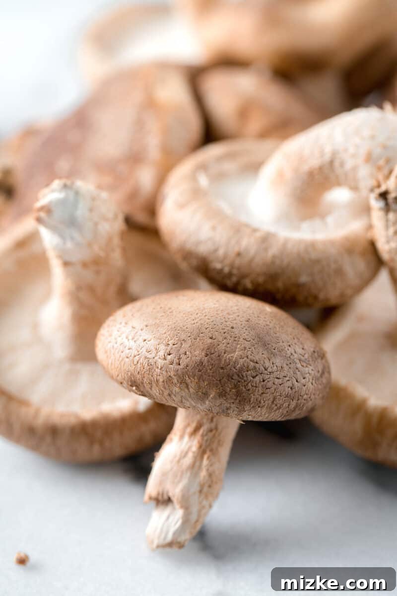Shiitake: A Culinary Treasure 4 A prominent shiitake mushroom stands tall, showcasing its robust structure and earthy color, with several other mushrooms blurred in the background.