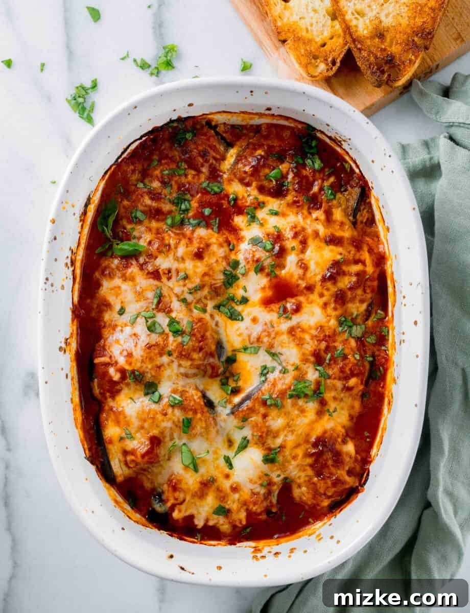 Golden Eggplant Spirals 2 A white casserole dish is filled with baked eggplant rollatini, topped with melted cheese and fresh basil.