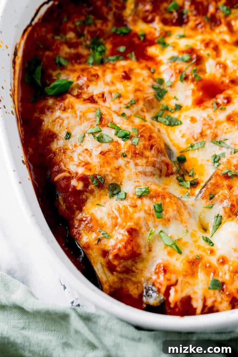 Golden Eggplant Spirals 8 Melted, bubbly cheese glistens across the top of freshly baked eggplant rollatini, adorned with vibrant fresh basil.