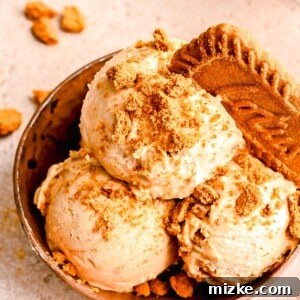 Scoops of Biscoff ice cream served in a bowl and topped with a Biscoff cookie.