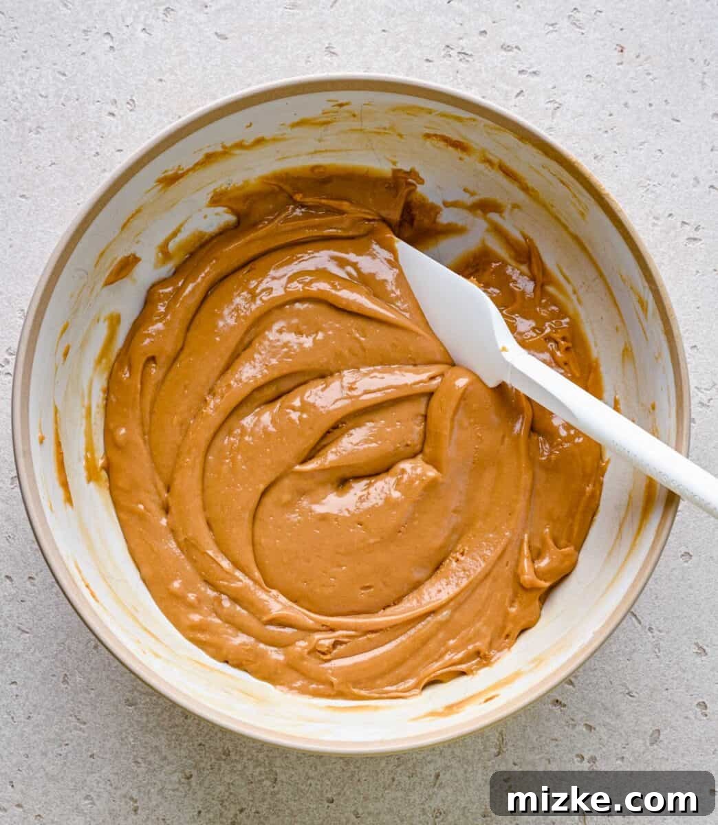 Mixing the creamy Biscoff ice cream base ingredients. The mixture of condensed milk, Biscoff cookie spread, and vanilla extract being thoroughly stirred in a bowl.