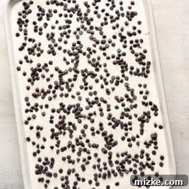Mini chocolate chips sprinkled on top of whipped cream
