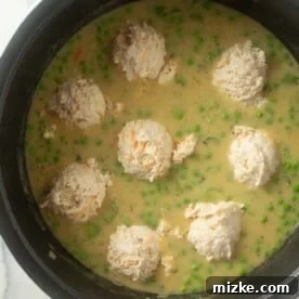 Hearty Stovetop Chicken and Dumplings with Biscuits 13 Biscuit mix dough carefully dropped into the simmering soup base.