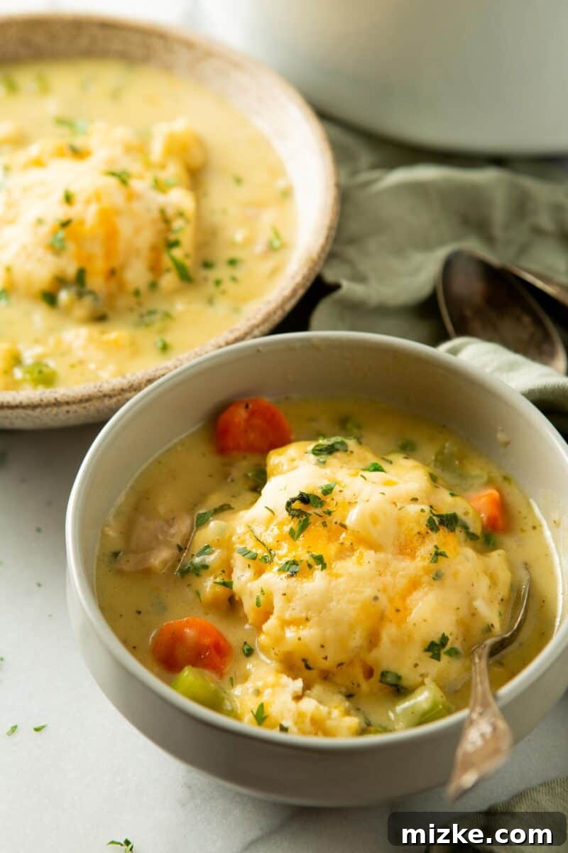 Hearty Stovetop Chicken and Dumplings with Biscuits 3 A grey bowl filled with creamy chicken and dumpling soup, with a metal spoon and a fluffy cheddar biscuit perched on top.