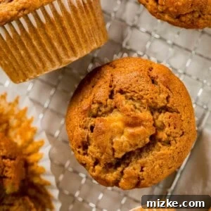 Overhead view of pumpkin banana muffins on a wire rack.