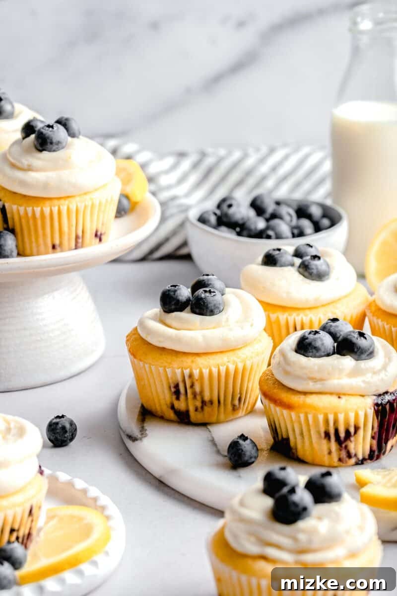 lemon blueberry cupcakes on a marble board
