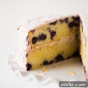 Blueberry Lavender Cake