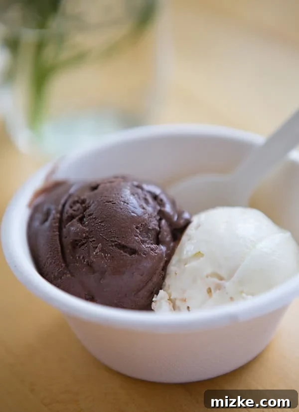 Feasting Through Music City 17 Jeni's ice cream cone featuring boysenberry streusel and a scoop of salty caramel