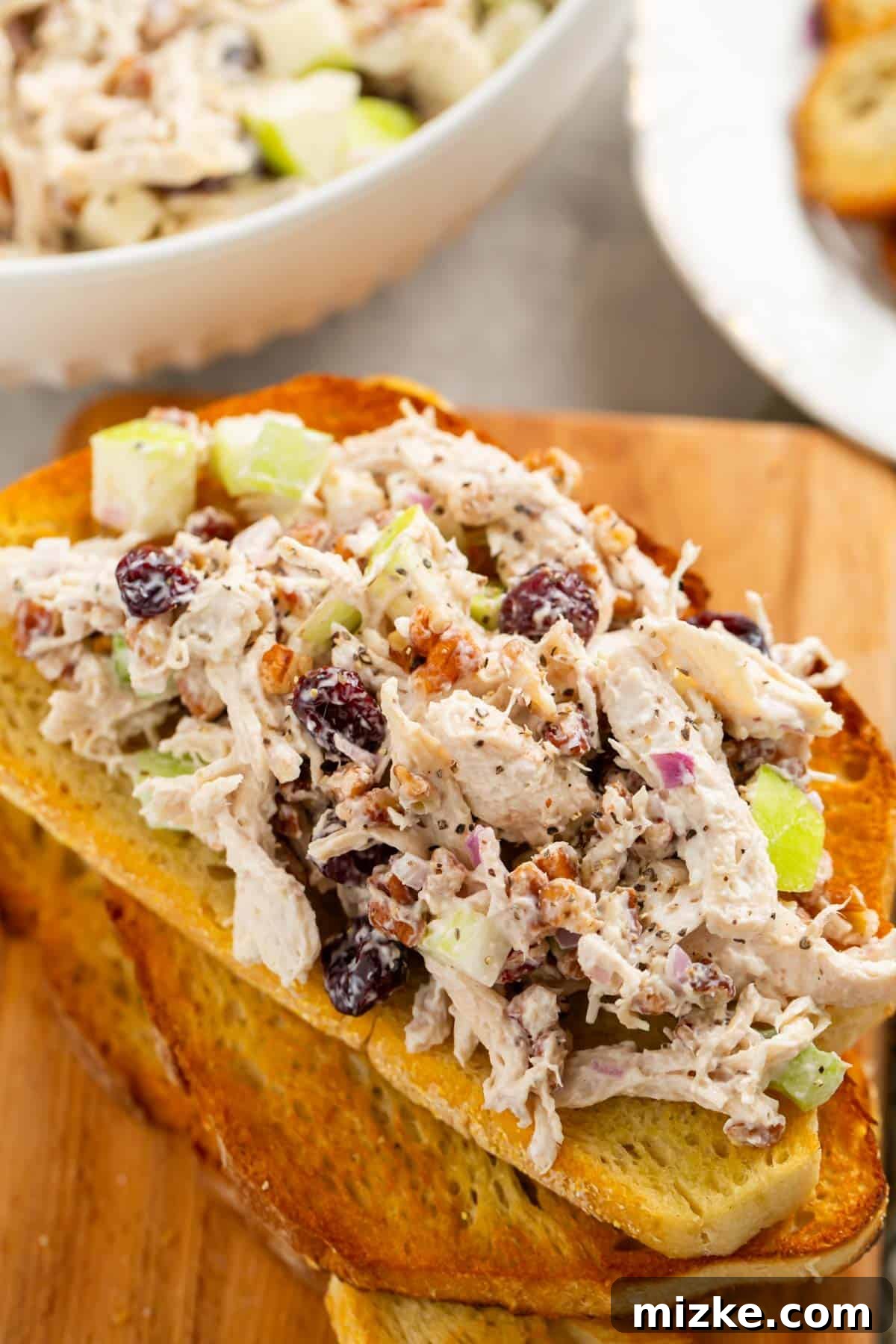 Vibrant Cranberry Pecan Chicken Salad 3 Generous scoop of cranberry pecan chicken salad elegantly served open-faced on a slice of golden toasted bread.