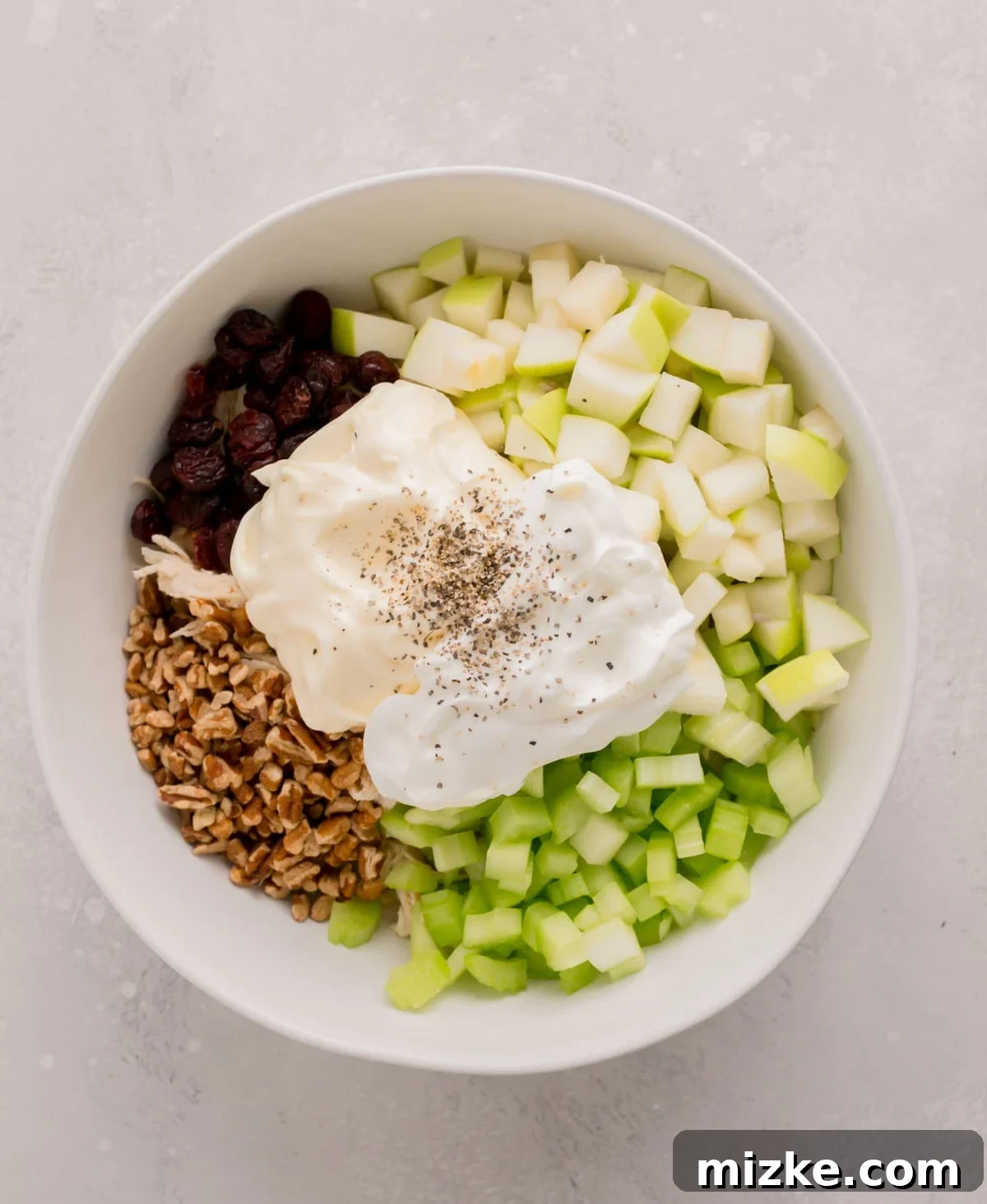 Vibrant Cranberry Pecan Chicken Salad 4 Bowl showing shredded chicken topped with diced apples, shallots, celery, pecans, cranberries, and a dollop of mayonnaise and Greek yogurt, seasoned with black pepper.