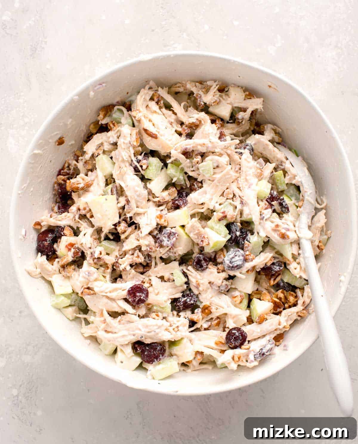 Vibrant Cranberry Pecan Chicken Salad 5 All ingredients for the cranberry pecan chicken salad thoroughly mixed in a large white bowl with a silicone spoon, ready to serve.