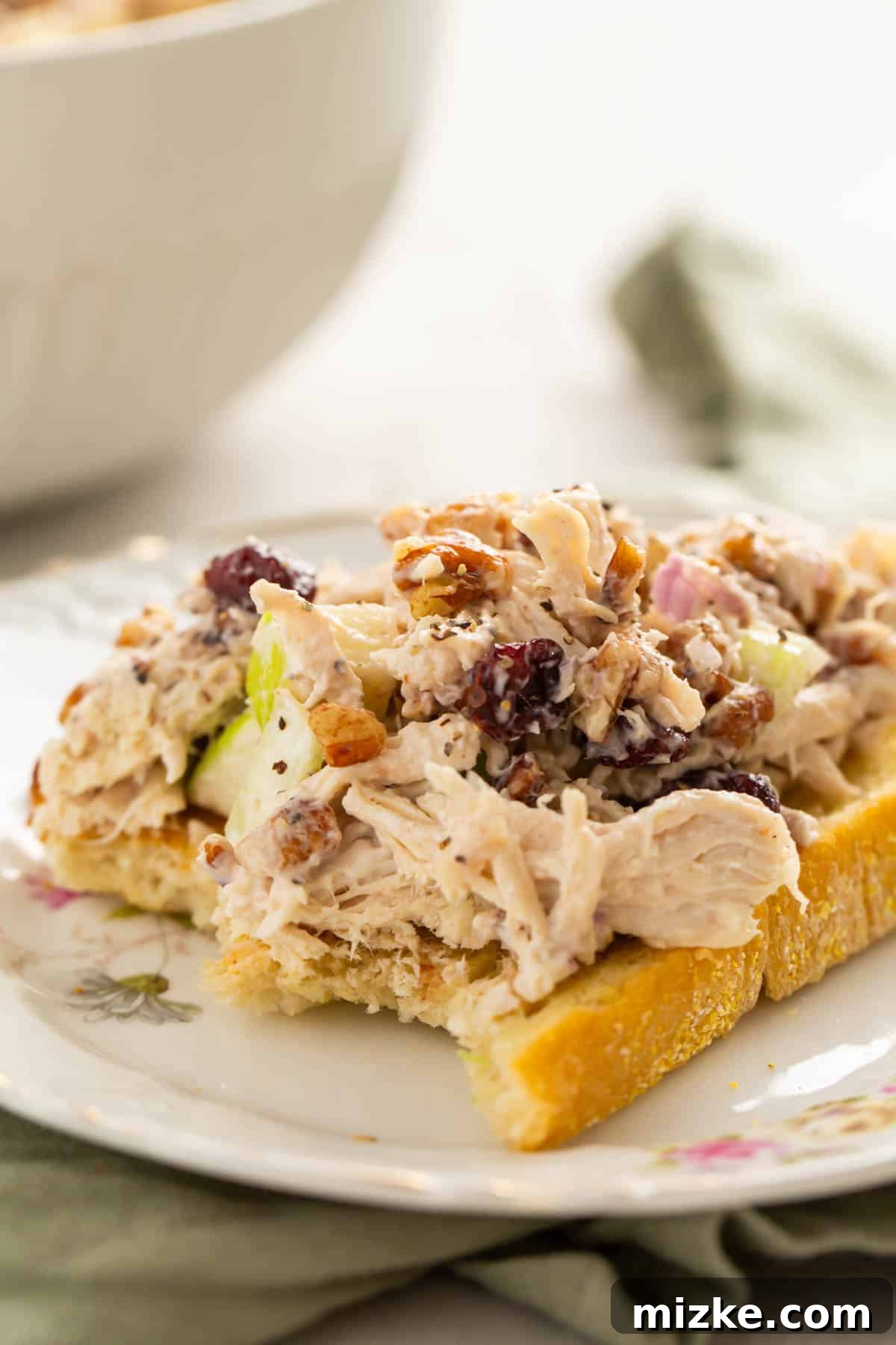 Vibrant Cranberry Pecan Chicken Salad 6 A close-up view of cranberry pecan chicken salad served on toasted bread, with a bite taken, highlighting the appealing textures.