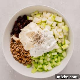 Bowl showing shredded chicken topped with diced apples, shallots, celery, pecans, cranberries, and a dollop of mayonnaise and Greek yogurt, seasoned with black pepper.