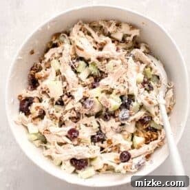 All ingredients for the cranberry pecan chicken salad thoroughly mixed in a large white bowl with a silicone spoon, ready to serve.