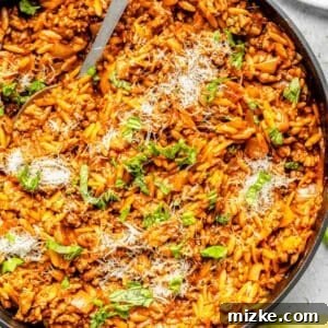 Hearty Beef and Orzo 5 Ground beef and orzo pasta in a large nonstick skillet, garnished with fresh basil leaves and grated Parmesan cheese.