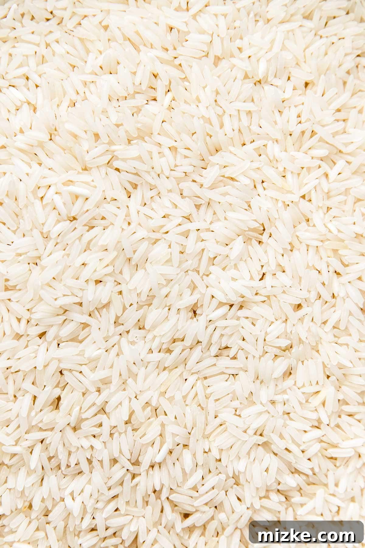 Secrets to Perfectly Fluffy Jasmine Rice 5 A close-up view of individual uncooked jasmine rice grains, highlighting their translucent quality.