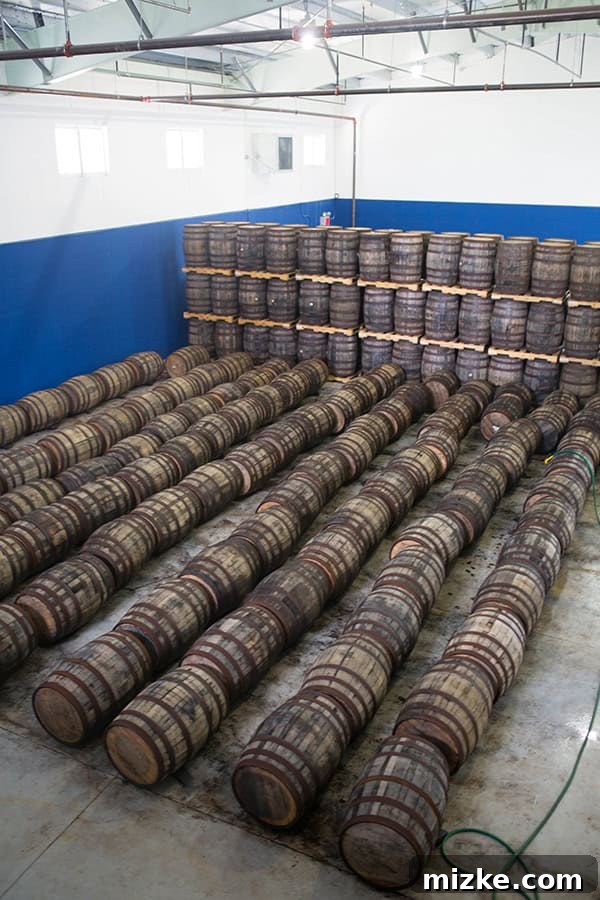 Nassau Bahamian Paradise 25 Barrels of rum at the distillery