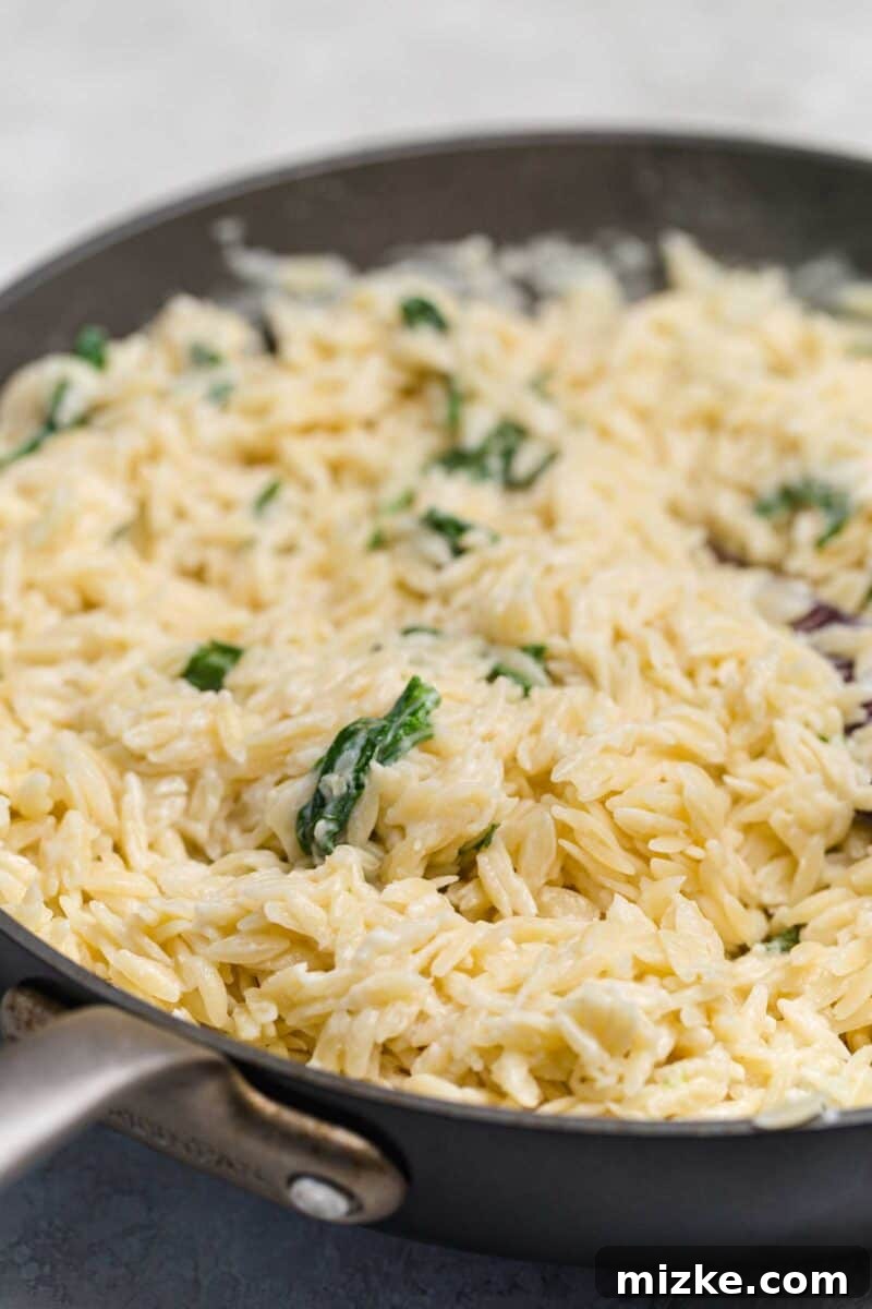 Velvety Spinach Parmesan Orzo 5 Carefully arranged ingredients for Parmesan and spinach orzo laid out on a clean kitchen counter, highlighting freshness.