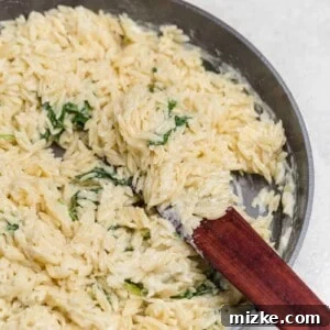A beautifully presented bowl of the finished creamy Parmesan and Spinach Orzo dish, garnished and ready to be served.