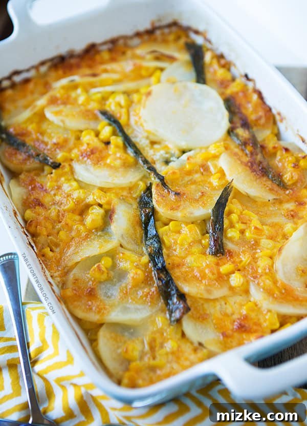Perfectly Baked Poblano Potato Gratin Close-up of baked Poblano Potato Gratin with golden brown cheese, ready to serve as a festive holiday side.
