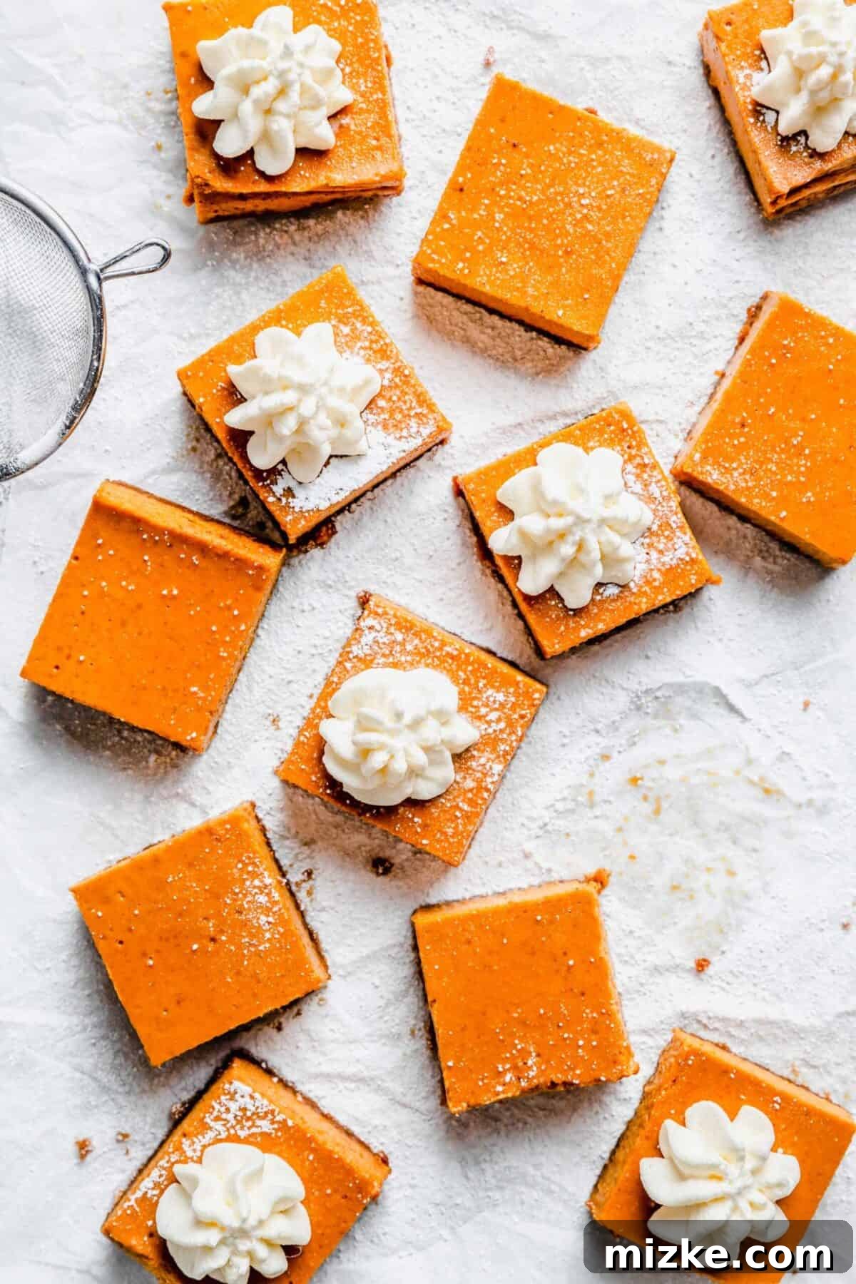 Delicious maple pumpkin cheesecake bars with a chewy Biscoff crust, infused with rich fall flavors of pumpkin, maple syrup, and caramel 12 squares of maple pumpkin cheesecake bars, some with powdered sugar on top, some with dollops of whipped cream, surrounded by a sieve and powdered sugar