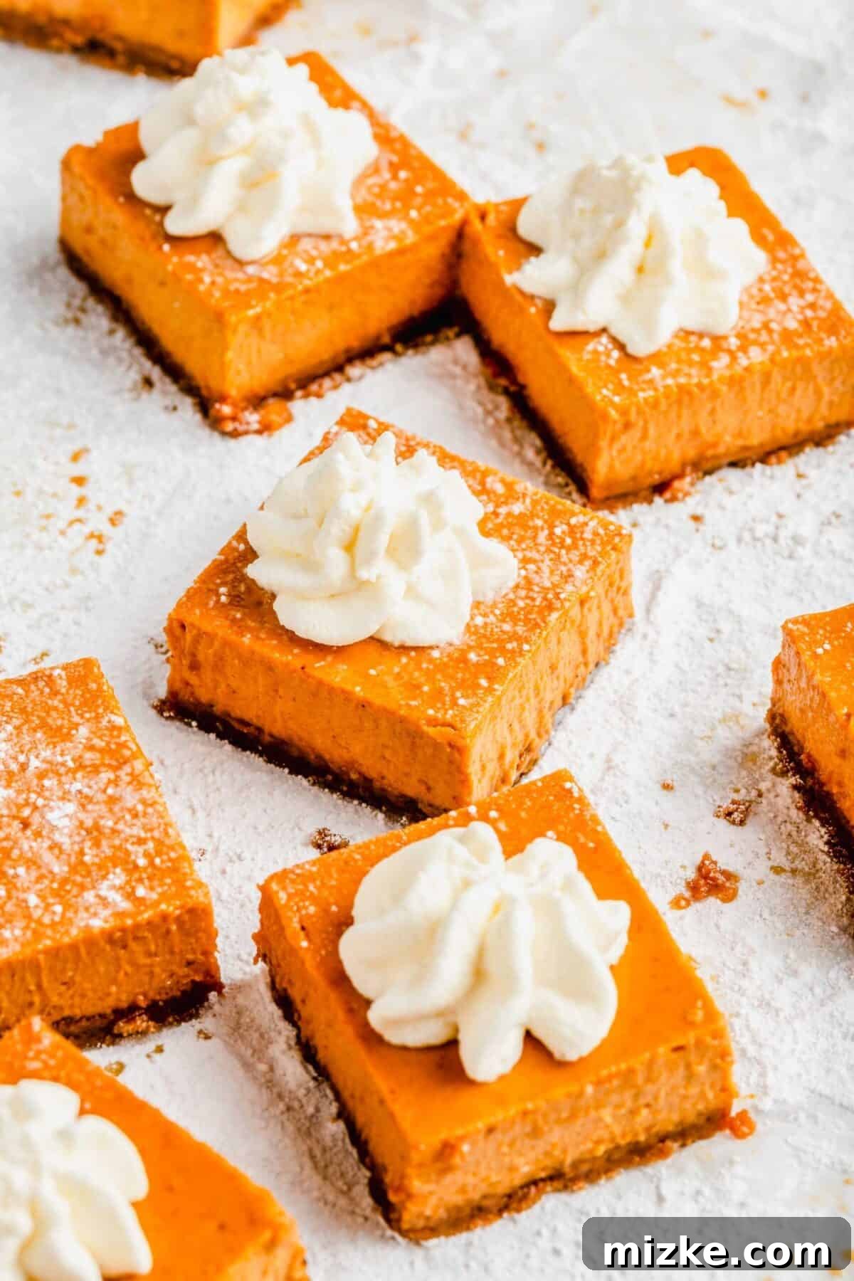 These delightful maple pumpkin cheesecake bars feature a chewy Biscoff crust and are brimming with the authentic flavors of fall, including pumpkin, maple syrup, and caramel. Close up of maple pumpkin cheesecake bars topped with whipped cream