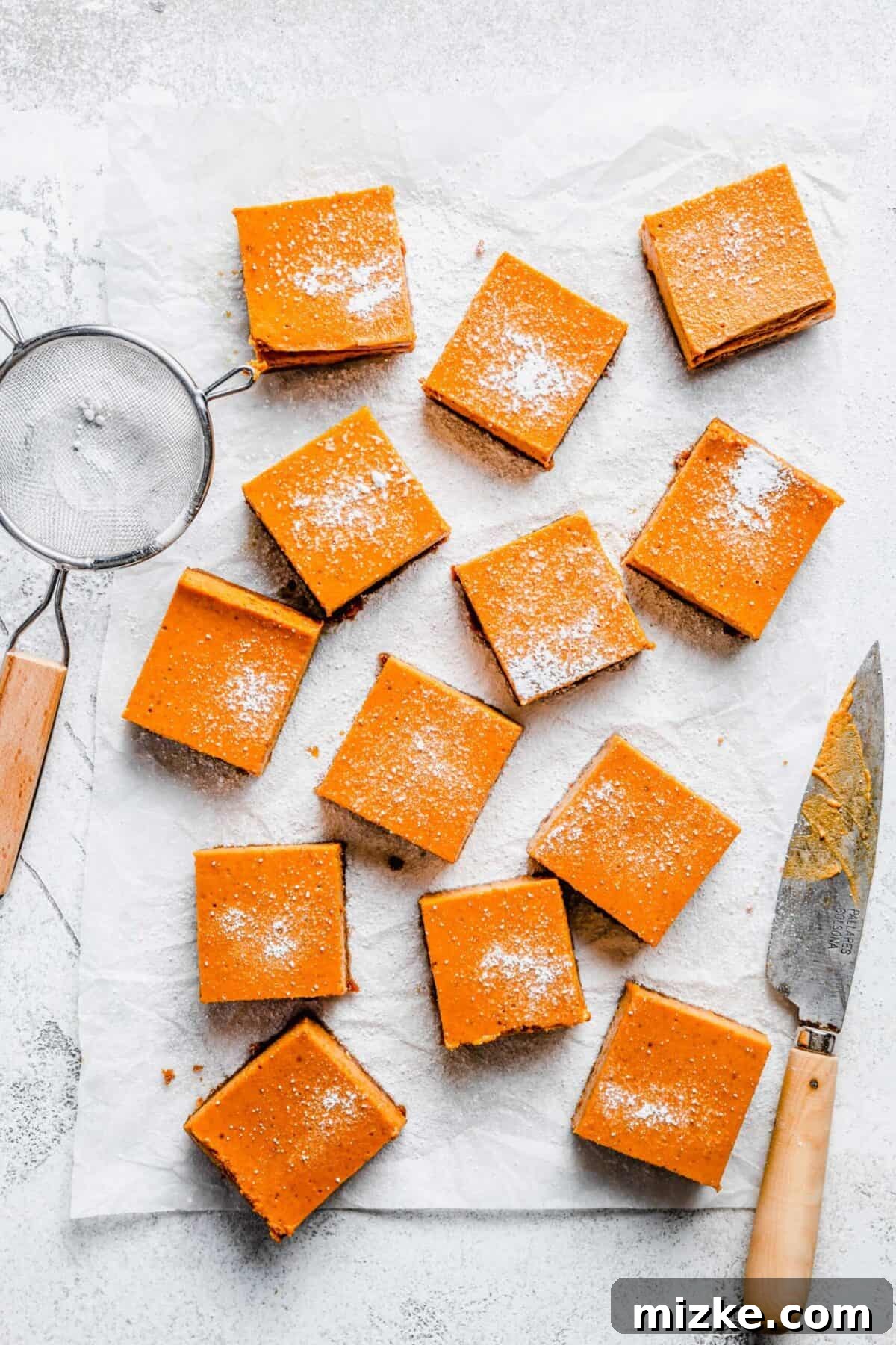 A collection of maple pumpkin cheesecake bars, elegantly dusted with powdered sugar, ready to be served and enjoyed. 13 squares of maple pumpkin cheesecake bars, dusted with powdered sugar, next to a sieve and a paring knife