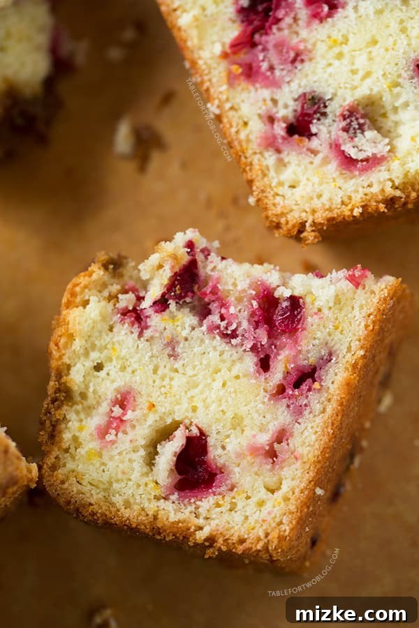 A close-up shot of the Cranberry Orange Loaf's golden-brown crust and streusel topping.