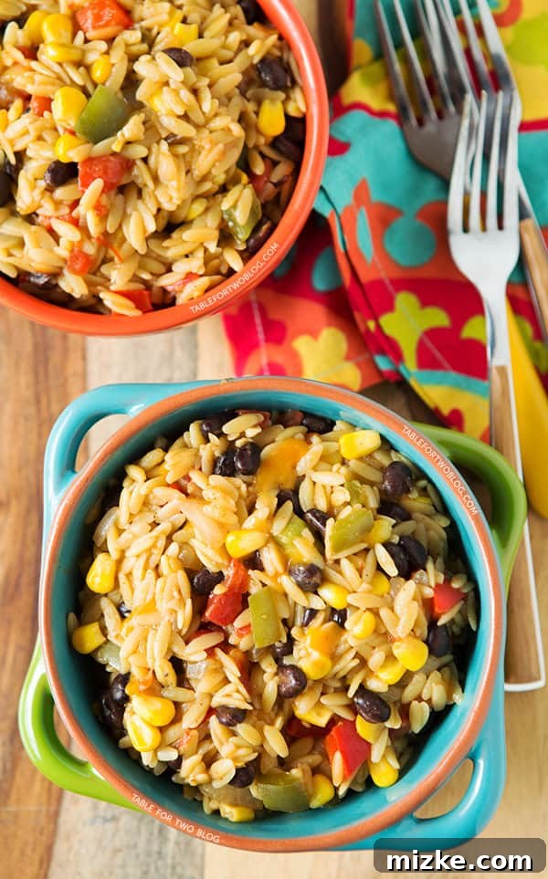 Flavorful One-Pot Tex-Mex Orzo, ready to serve Close-up of creamy One-Pot Tex-Mex Orzo garnished with fresh cilantro