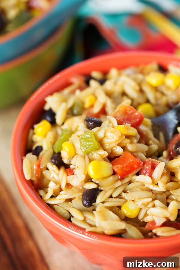 Hot and comforting One-Pot Tex-Mex Orzo for dinner A serving of hot One-Pot Tex-Mex Orzo in a bowl with a spoon
