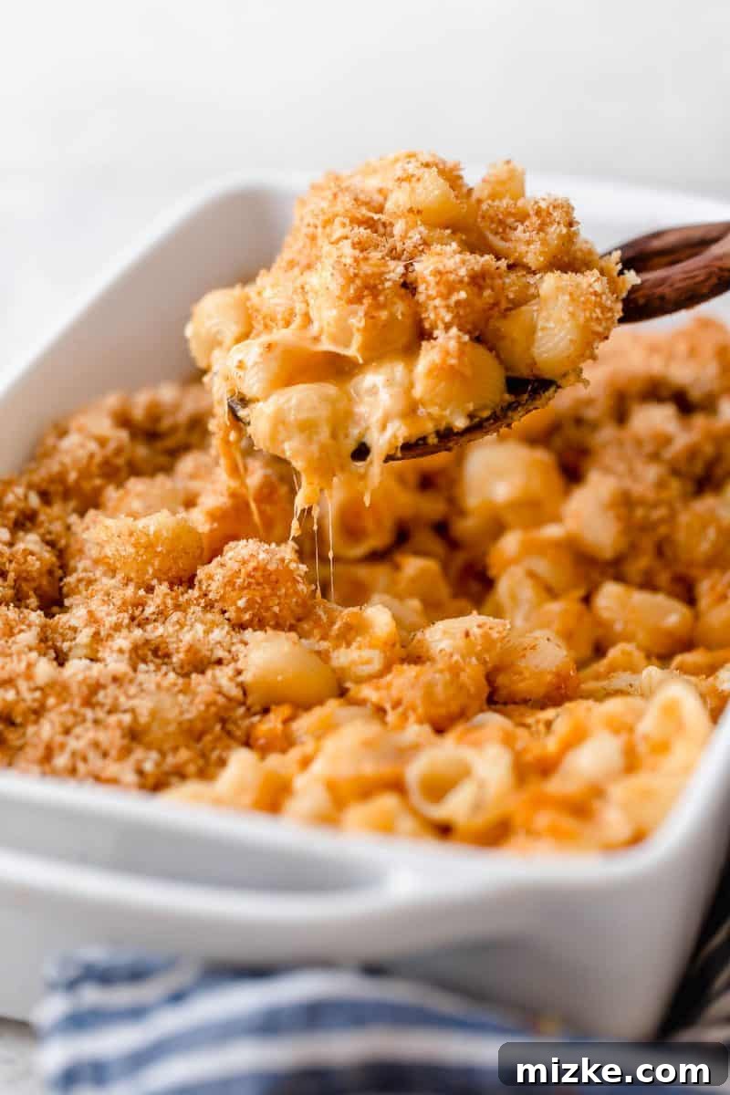 This mac and cheese recipe has a bit of a kick to it and it's the perfect weeknight comfort meal when you are craving pasta and cheese! This mac and cheese recipe has a bit of a kick to it and it's the perfect weeknight comfort meal when you are craving pasta and cheese!