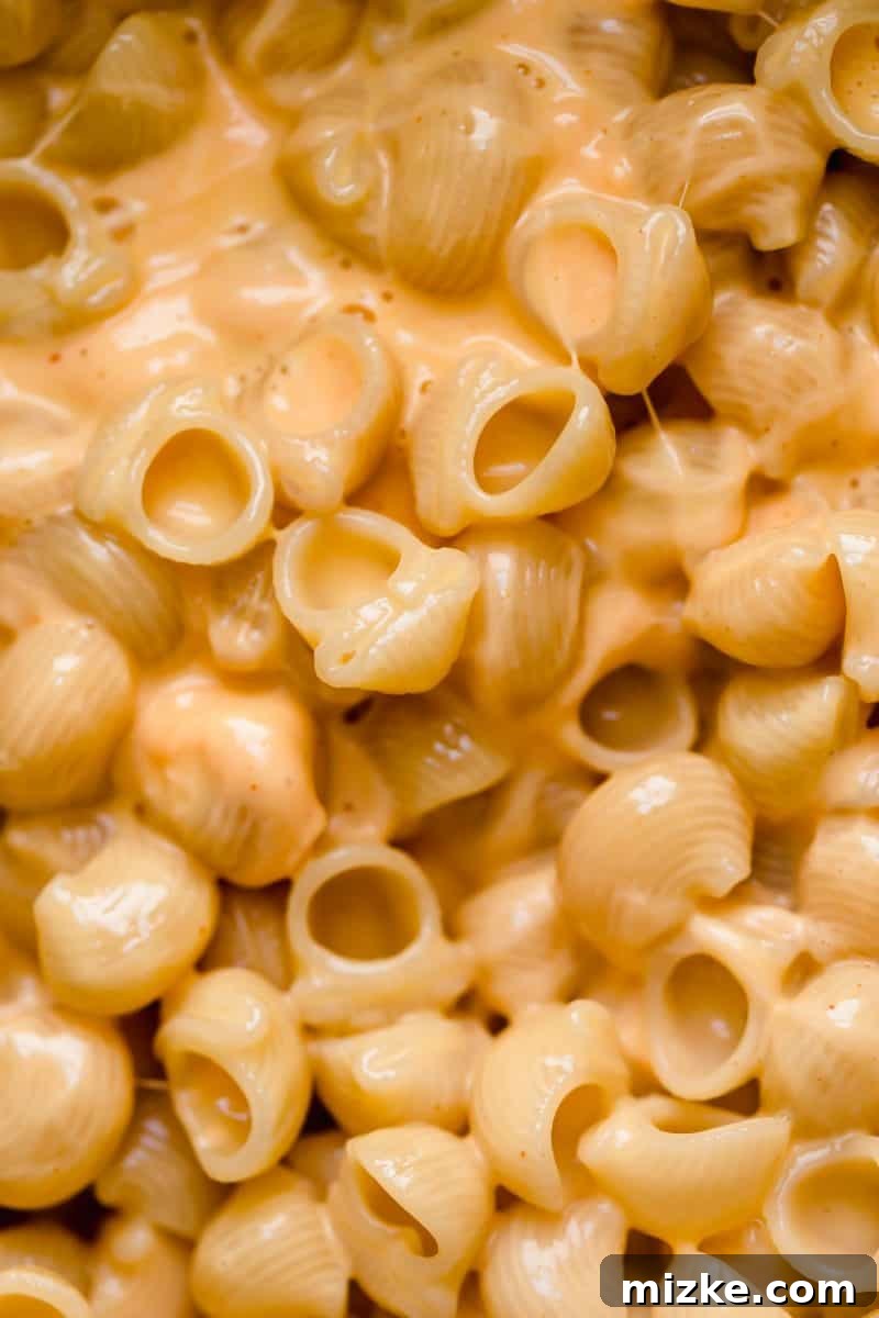 This mac and cheese recipe has a bit of a kick to it and it's the perfect weeknight comfort meal when you are craving pasta and cheese! This mac and cheese recipe has a bit of a kick to it and it's the perfect weeknight comfort meal when you are craving pasta and cheese!
