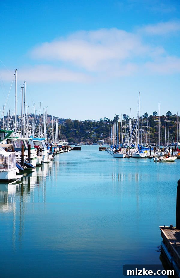 Sausalito's picturesque Cass Marina on a beautiful day. Scenic view of Cass Marina in Sausalito, with boats on the water and hills in the background.