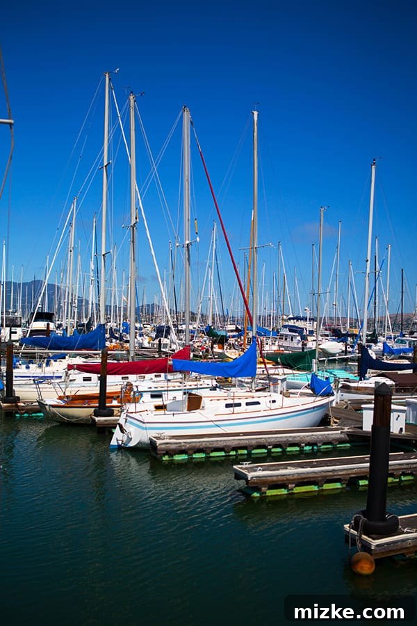 Waterfront views and serene atmosphere in Sausalito. Charming boats docked in Sausalito's marina under clear blue skies.