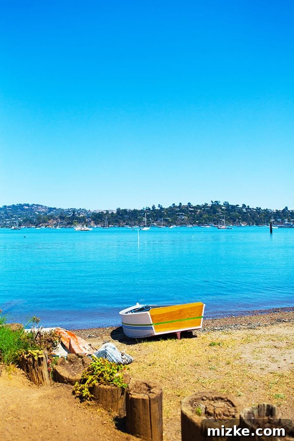 Sausalito offers stunning bay views and a charming coastal town feel. A vibrant scene of Sausalito's waterfront, dotted with boats.