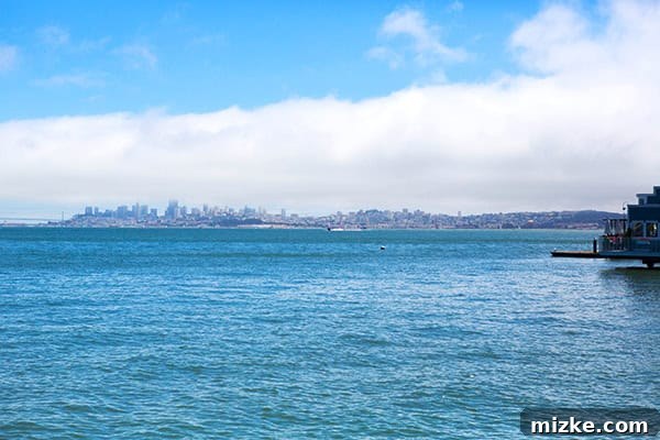 Sausalito's vantage point offers stunning views of San Francisco landmarks. Panoramic view of San Francisco Bay, with bridges and city skyline visible from Sausalito.