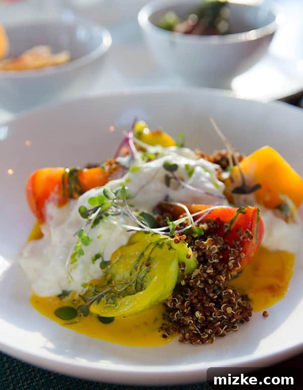A delicious and fresh burrata, tomato, and quinoa salad. A fresh burrata, tomato, and quinoa salad, artfully presented.