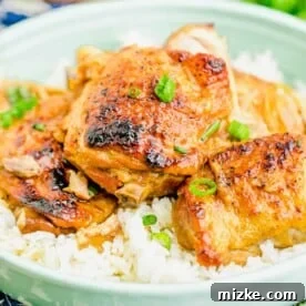 20 Quick Chicken Dinners for Busy Weeknight Meals 20 up close image of chicken adobo in a teal plate with a bed of white rice